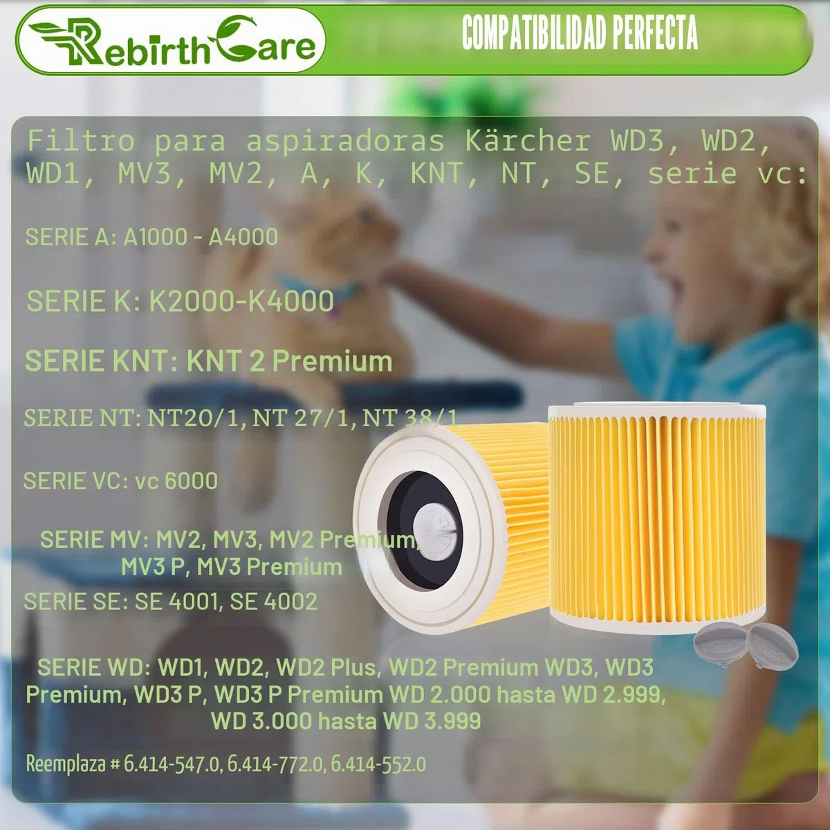 Rebirthcare WD3 filtro para Kärcher WD3 Premium WD2 WD3 WD3P WD1 MV2 MV3 A2604 A2004 A2204 A2054 SE4001 SE4002 cartucho filtro recambio aspiradora para karcher 6.414-552.0/64145520 (HT-2p)